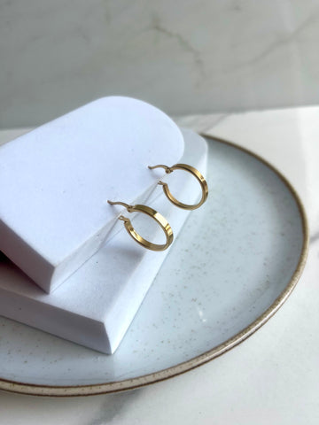 Aretes Carol