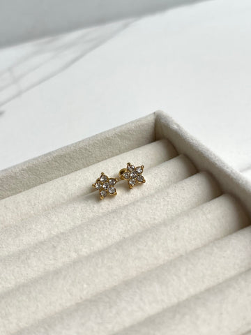 Aretes estrellitas
