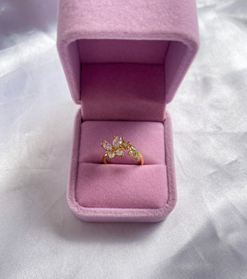 Anillo Salomé