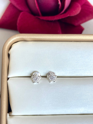 Aretes Estrella