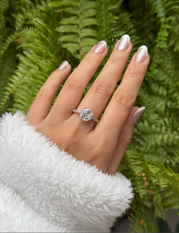 Anillo sirenia