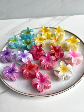 Pinzas Orquídea P.