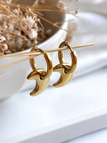 Aretes Aura