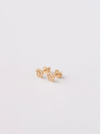 Aretes María José