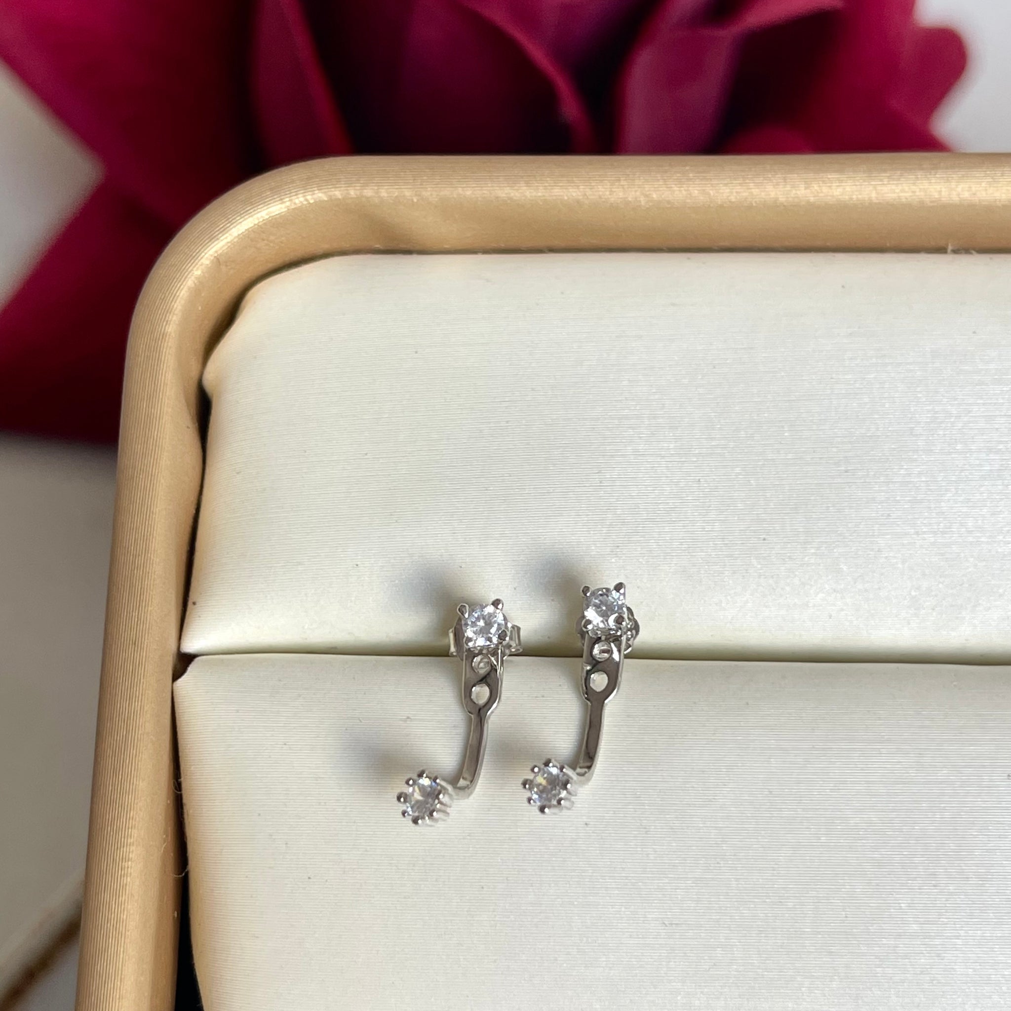 Aretes Lucia