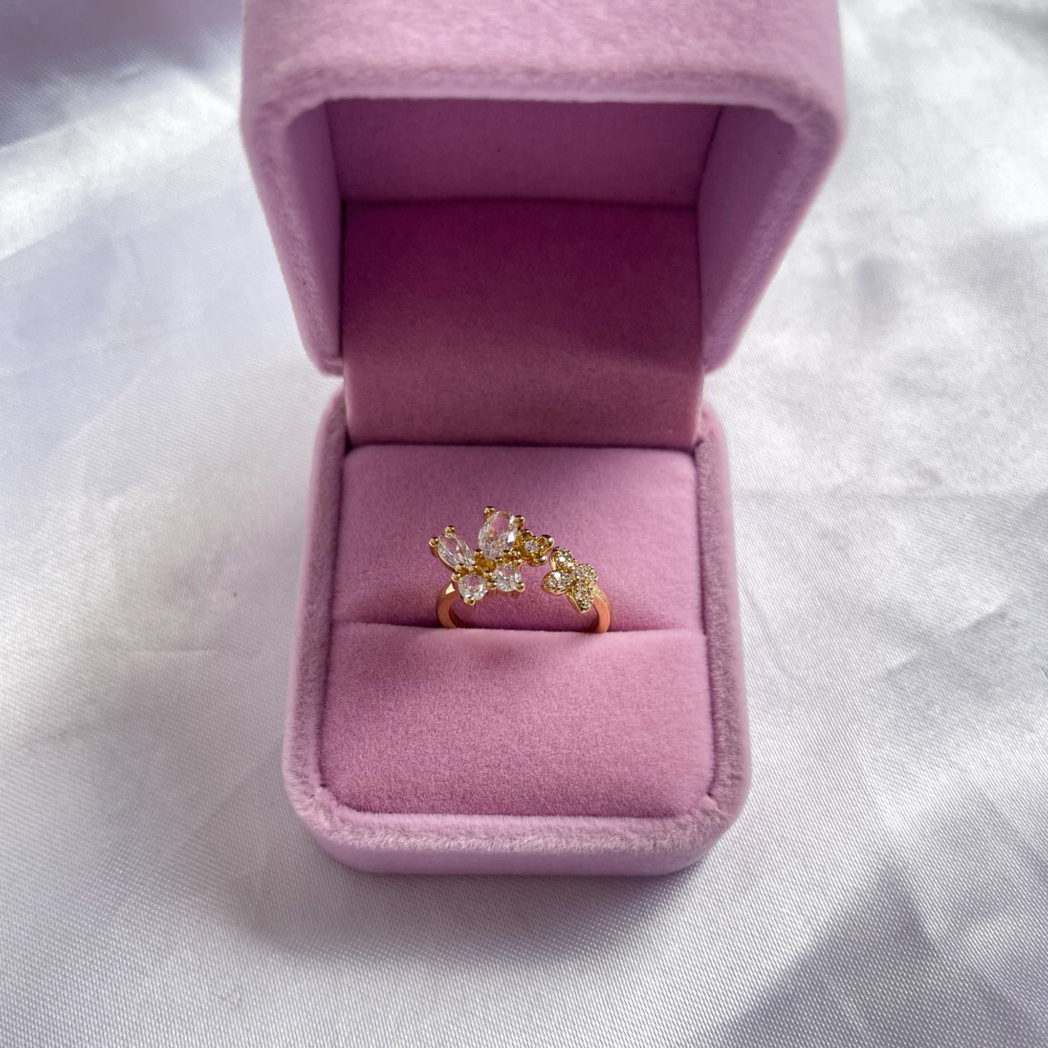 Anillo Salomé
