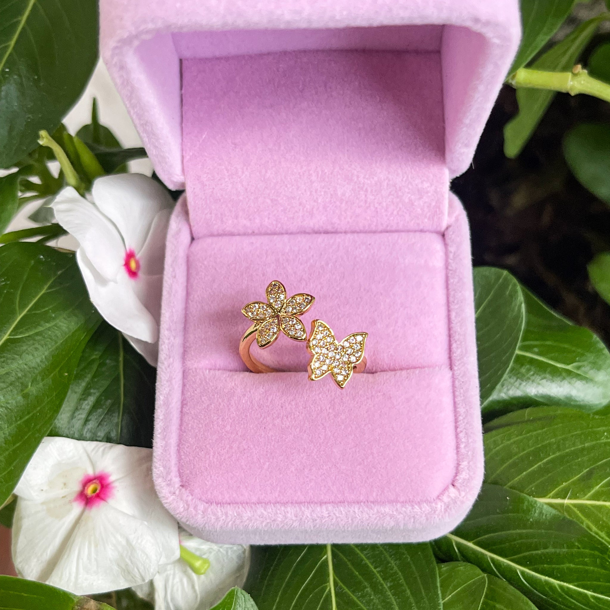 Anillo vela