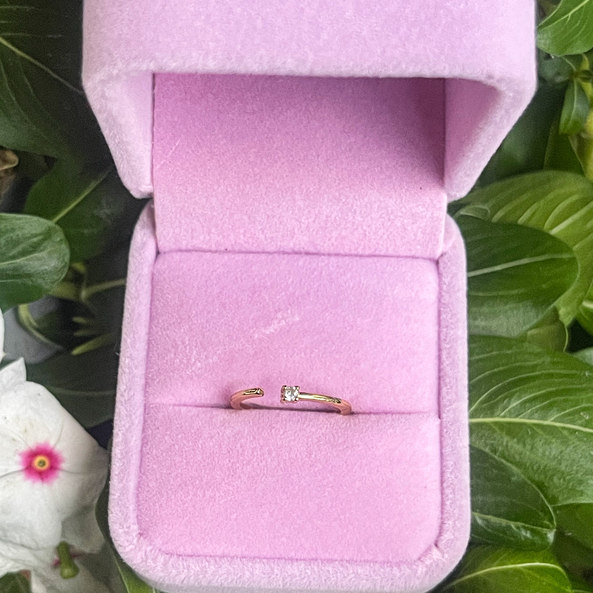 Anillo Edna